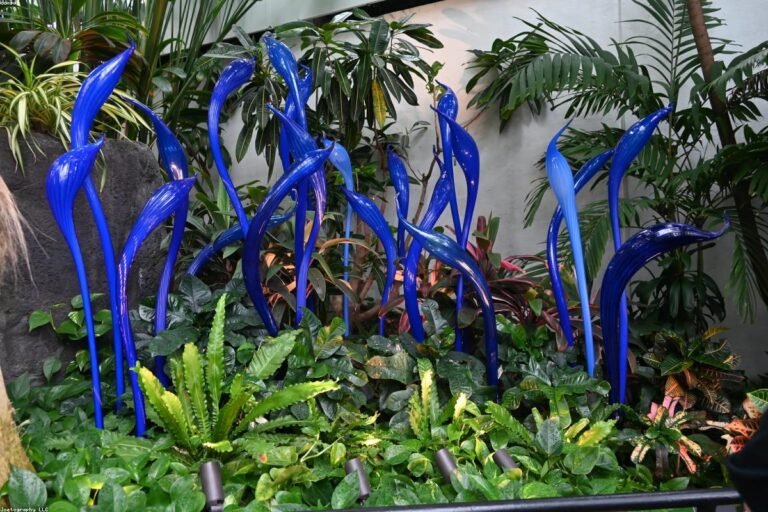 غرف زجاجية: أحدث تصاميم غرف زجاجية للحدائق والمنازل