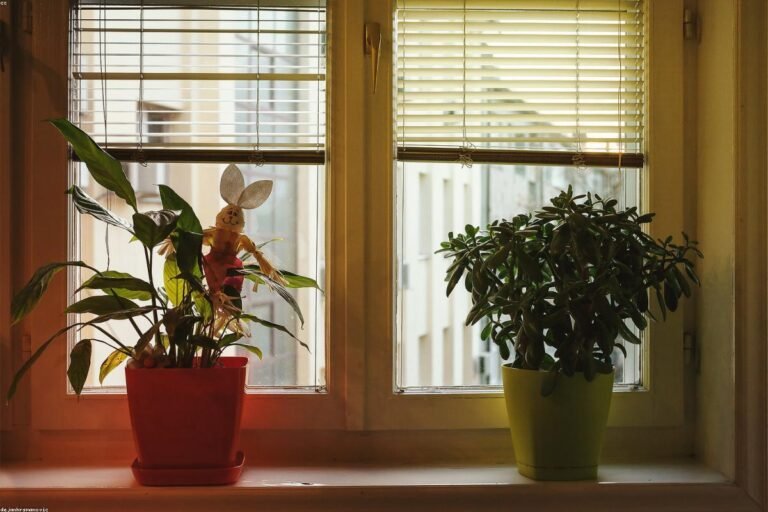 غرف زجاجية للسطح: أفكار تنفيذ غرف زجاجية للسطح بشكل مودرن