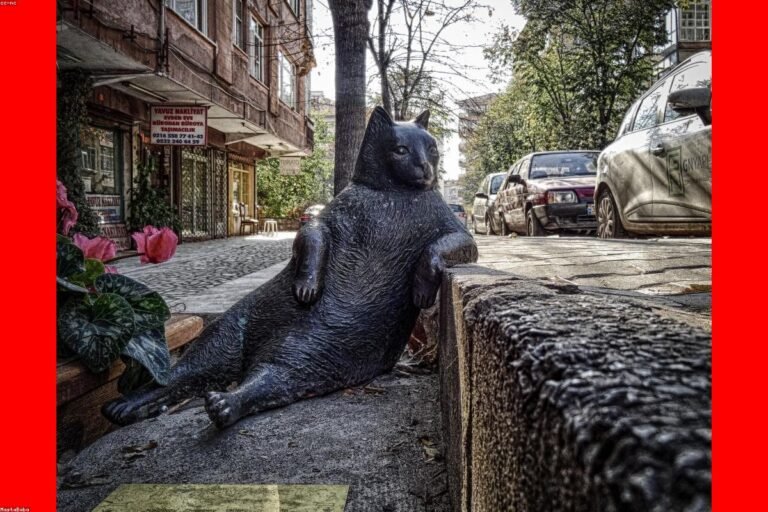 جلسات زجاجية: أفكار جلسات زجاجية فخمة للحدائق