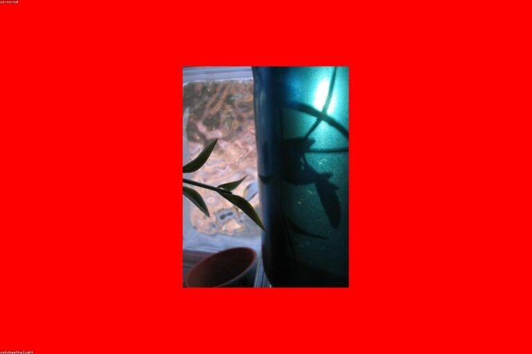 جلسات زجاجيه: أفضل تصاميم جلسات زجاجيه خارجية