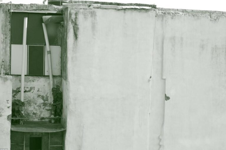 غرف زجاج في السطح: أفكار غرف زجاج في السطح