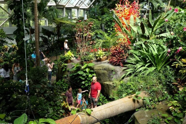 غرفة المنيوم وزجاج: مميزات غرفة المنيوم وزجاج للحديقة