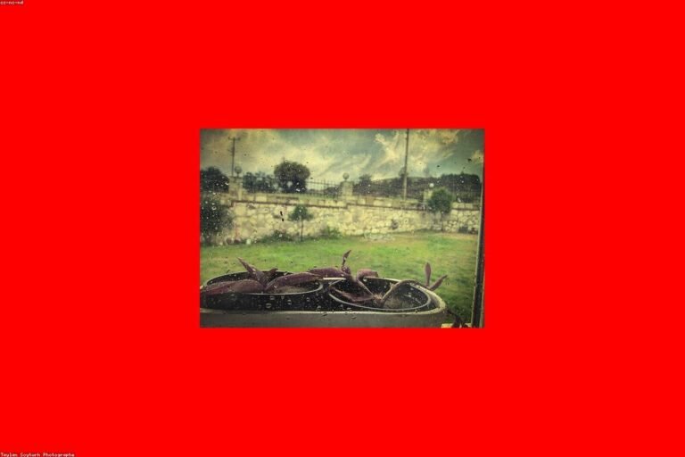 غرفة واجهة زجاج: تصميم غرفة واجهة زجاج حديثة